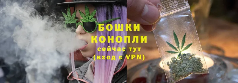 Бошки марихуана THC 21%  гидра как войти  Луховицы 